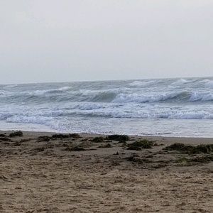 Meet your Posher, Alisha